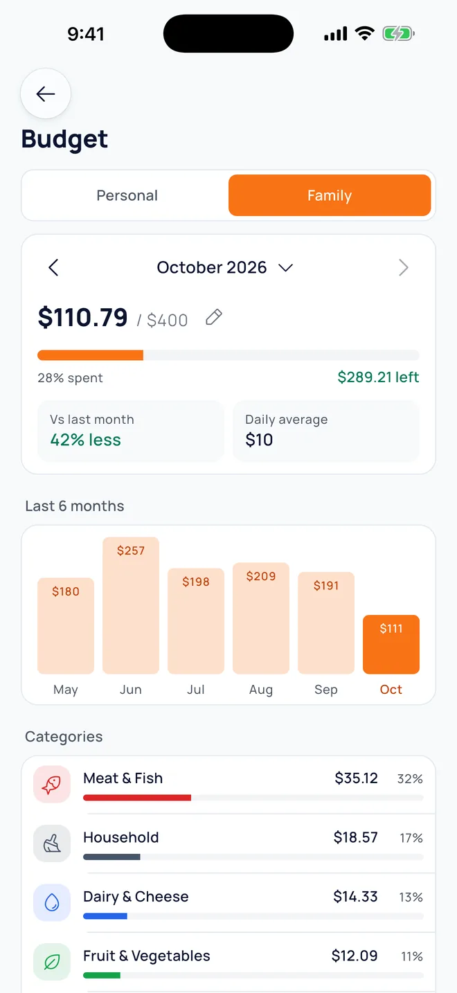 Family budget for the month with category breakdown